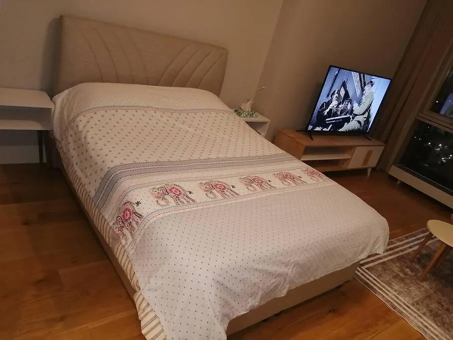 Апартаменты Metropol Istanbul Towers Lovely Studio Турция